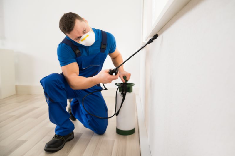 Beetle Removal in Katy, TX