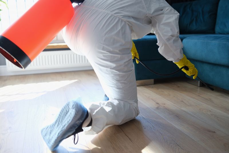 Mites Extermination in Arlington, TX